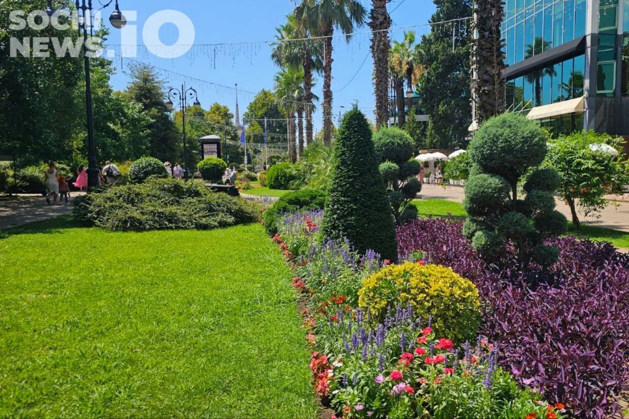 Обновление цветников в Сочи: в Лазаревском районе высадят 61 тысячу растений