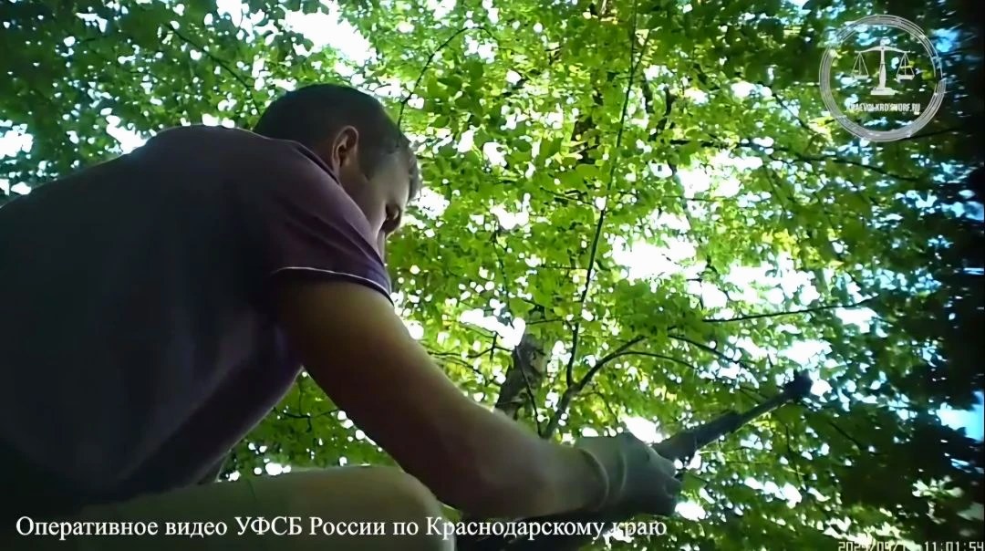 Приговор в Сочи: мужчина получил 6 лет за хранение и сбыт оружия