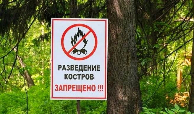 В Сочи введён особый противопожарный режим: запрещено разводить костры и жарить шашлыки